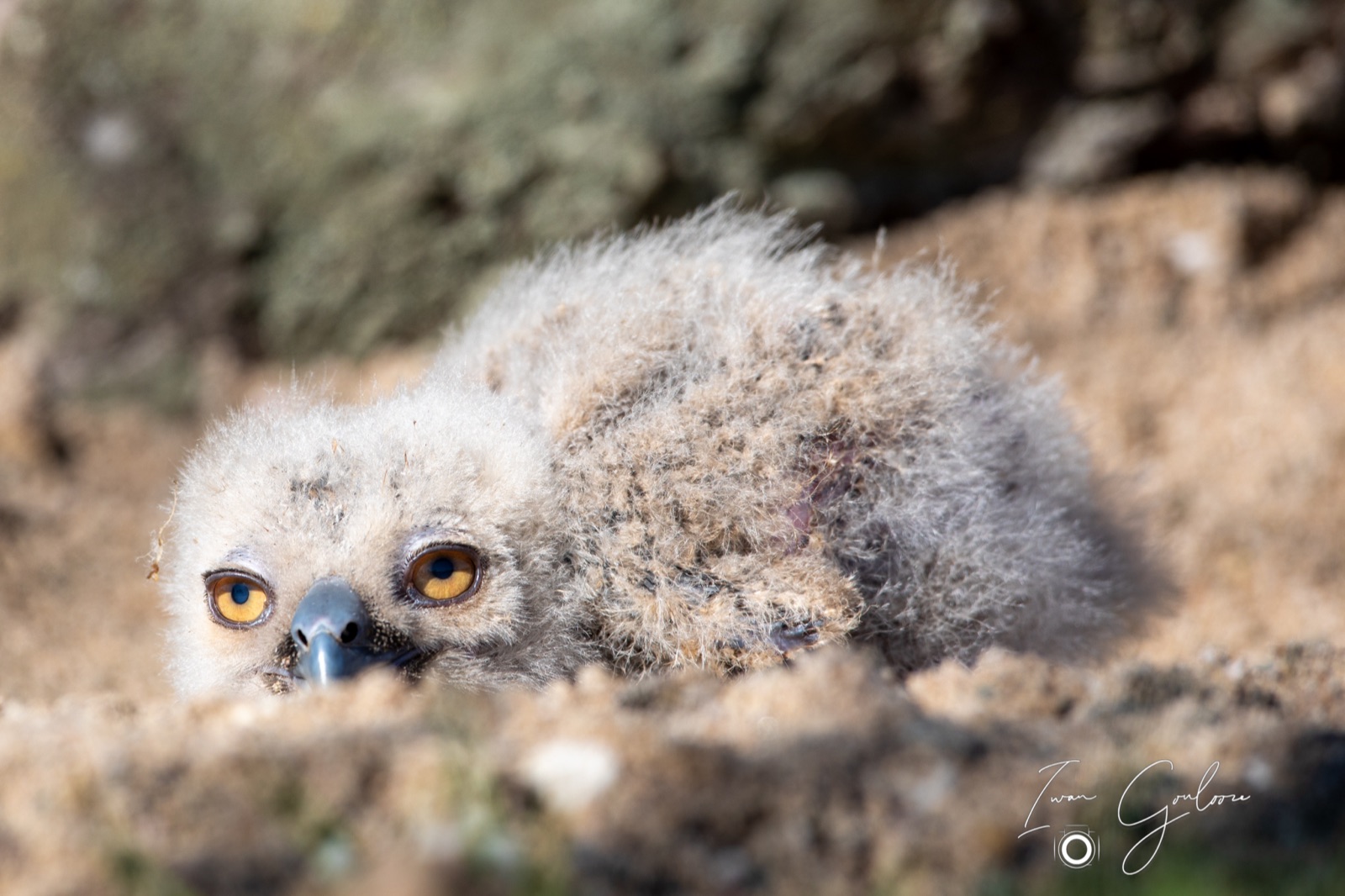 18 april 2022 100625  5D46484